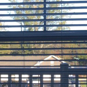 Meet your Posher, Lynn